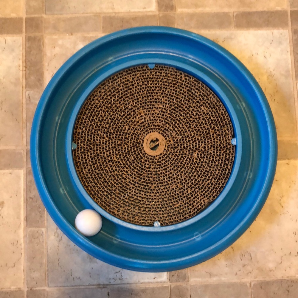 Turbo Scratcher Cat Toy 😻
